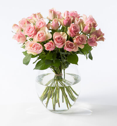 30 rosa roser 30 rosa roser